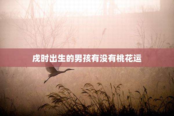戌时出生的男孩有没有桃花运
