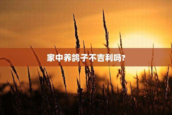 家中养鸽子不吉利吗?