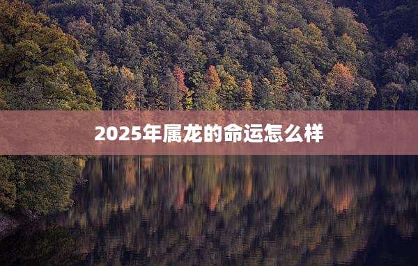 2025年属龙的命运怎么样