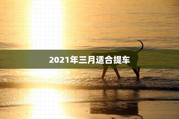 2021年三月适合提车