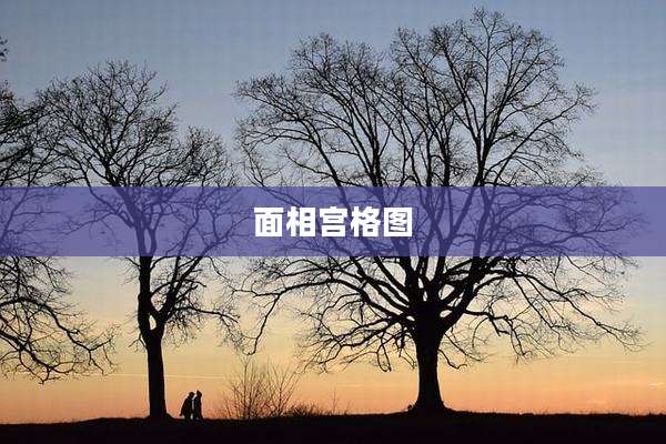 面相宫格图