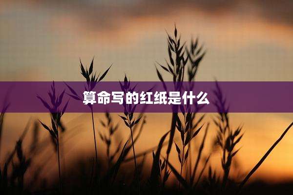 算命写的红纸是什么