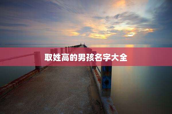 取姓高的男孩名字大全
