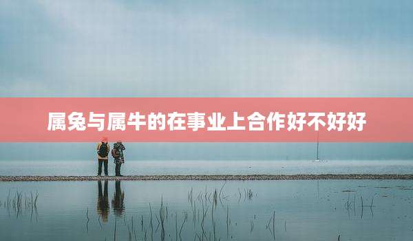 属兔与属牛的在事业上合作好不好好