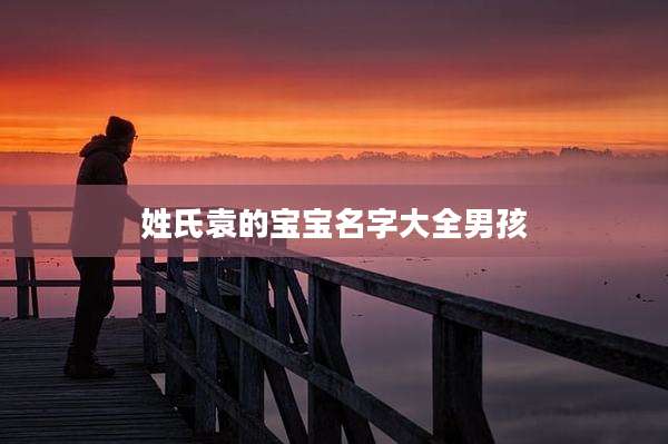 姓氏袁的宝宝名字大全男孩