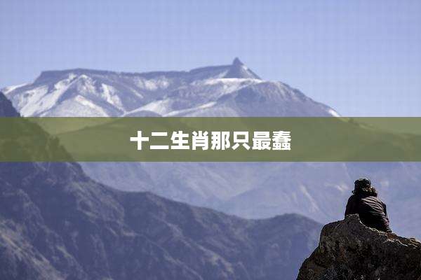 十二生肖那只最蠢