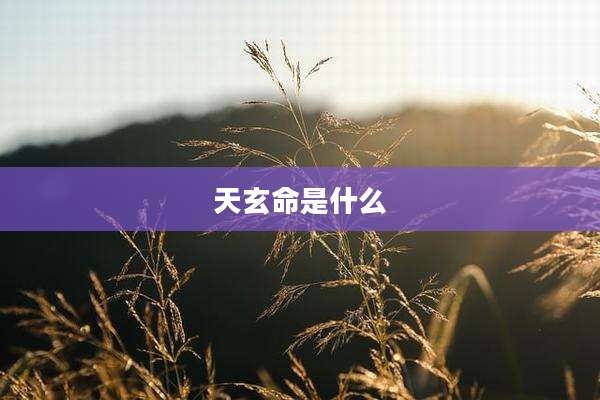 天玄命是什么
