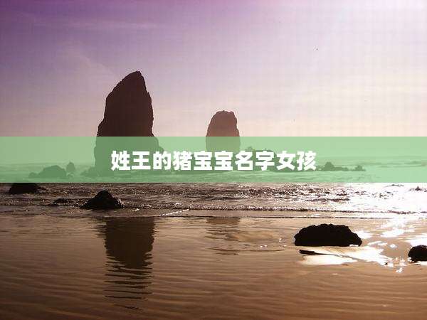姓王的猪宝宝名字女孩