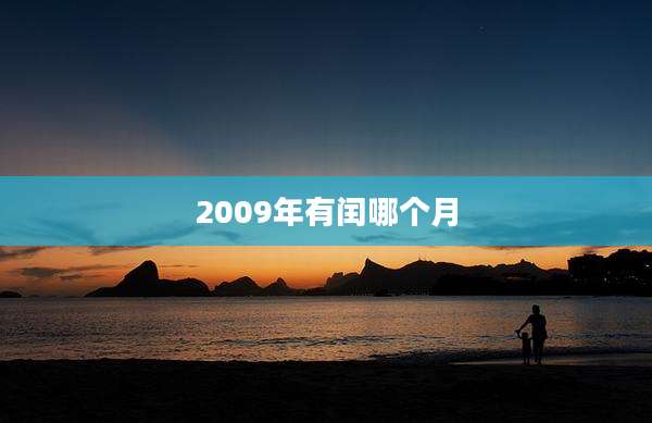 2009年有闰哪个月