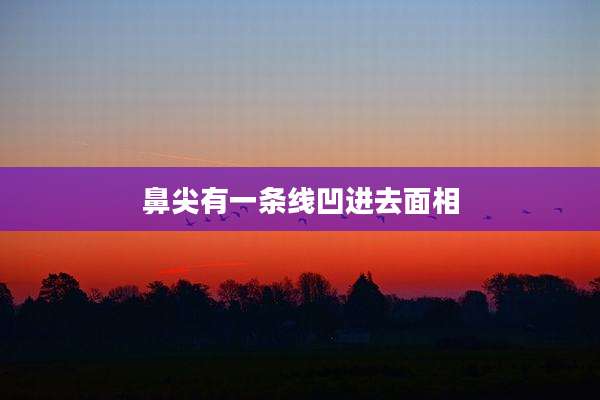鼻尖有一条线凹进去面相