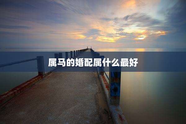属马的婚配属什么最好