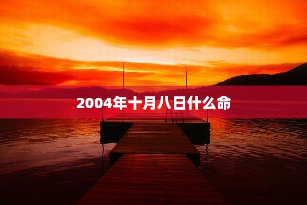 2004年十月八日什么命
