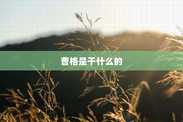 曹格是干什么的