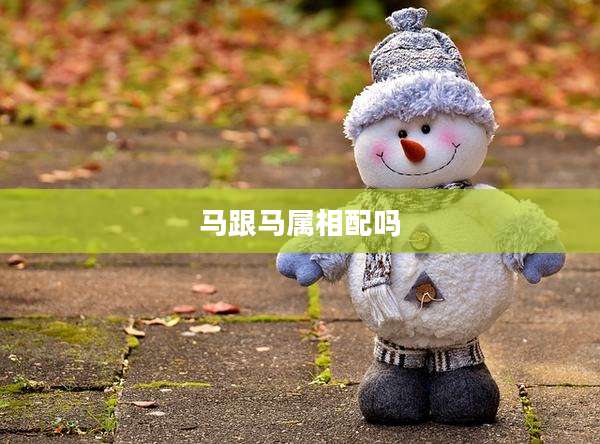 马跟马属相配吗