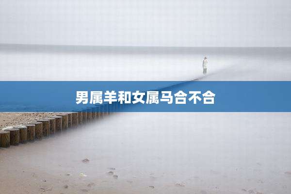 男属羊和女属马合不合