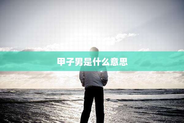 甲子男是什么意思