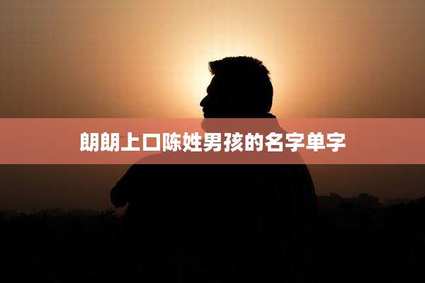 朗朗上口陈姓男孩的名字单字