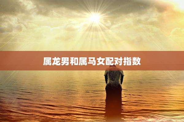 属龙男和属马女配对指数