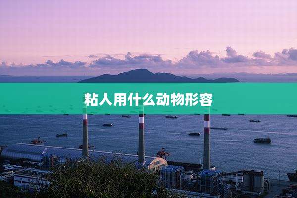 粘人用什么动物形容