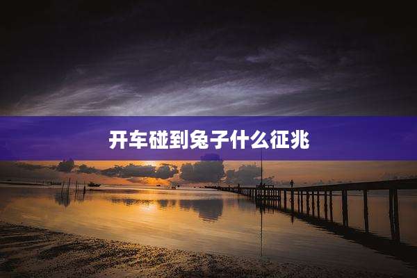 开车碰到兔子什么征兆