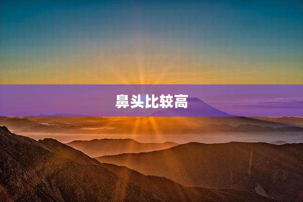 鼻头比较高