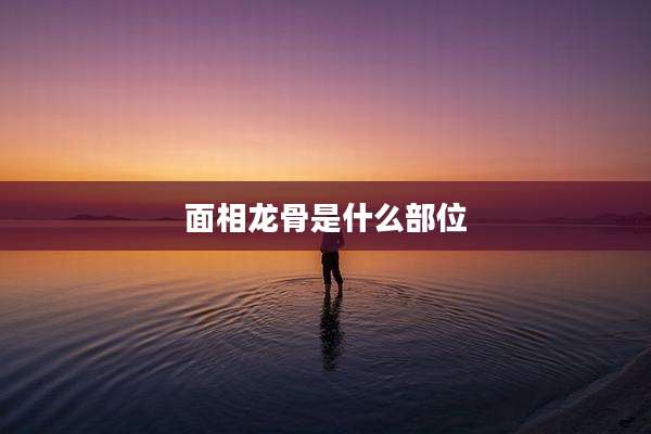 面相龙骨是什么部位