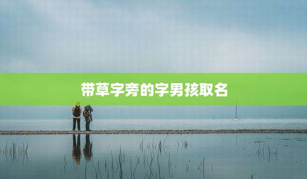 带草字旁的字男孩取名
