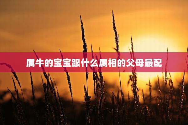 属牛的宝宝跟什么属相的父母最配