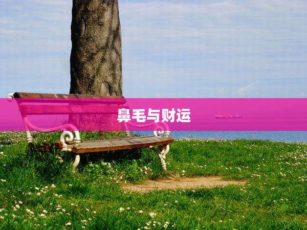 鼻毛与财运