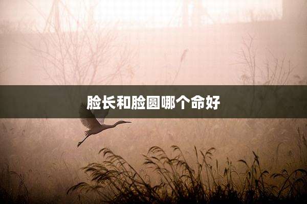 脸长和脸圆哪个命好