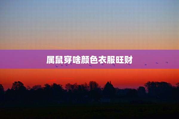 属鼠穿啥颜色衣服旺财
