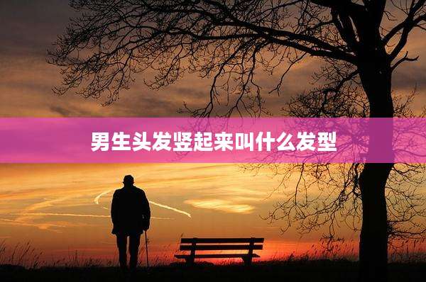 男生头发竖起来叫什么发型