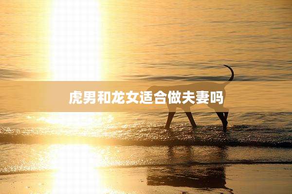 虎男和龙女适合做夫妻吗