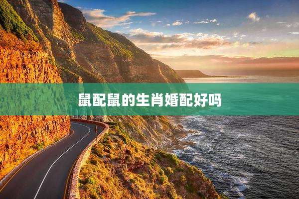鼠配鼠的生肖婚配好吗