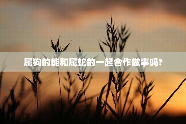 属狗的能和属蛇的一起合作做事吗?
