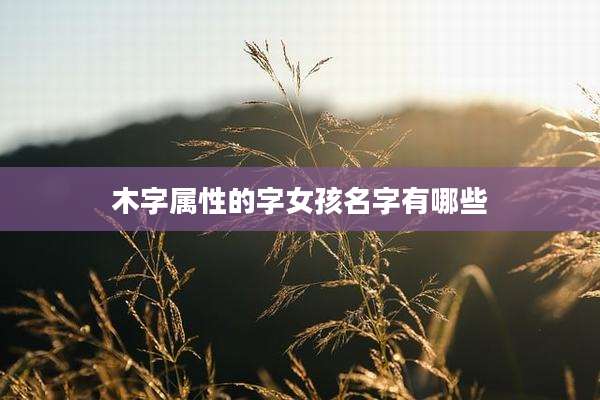 木字属性的字女孩名字有哪些