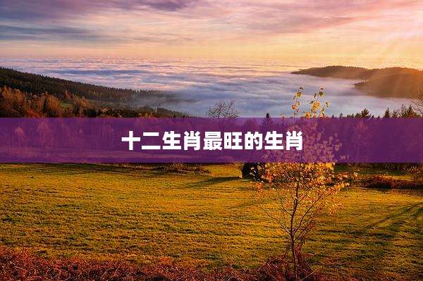 十二生肖最旺的生肖