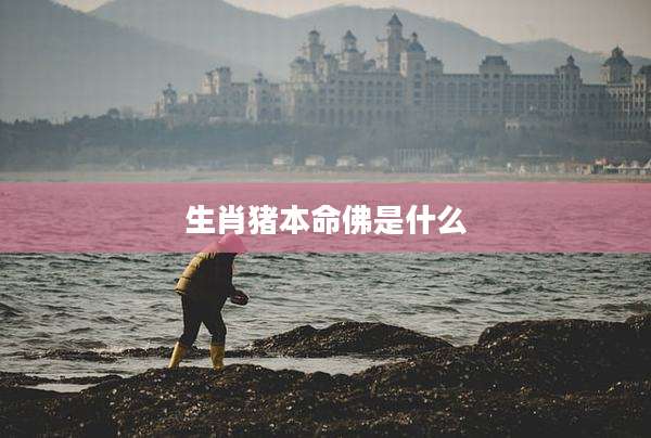 生肖猪本命佛是什么