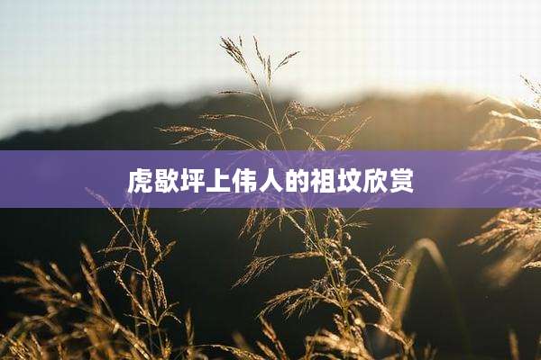 虎歇坪上伟人的祖坟欣赏
