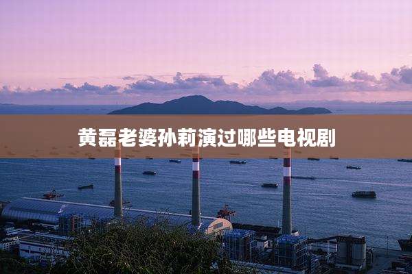 黄磊老婆孙莉演过哪些电视剧