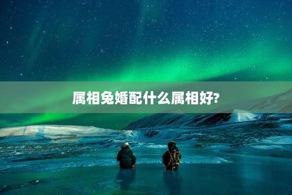 属相兔婚配什么属相好?