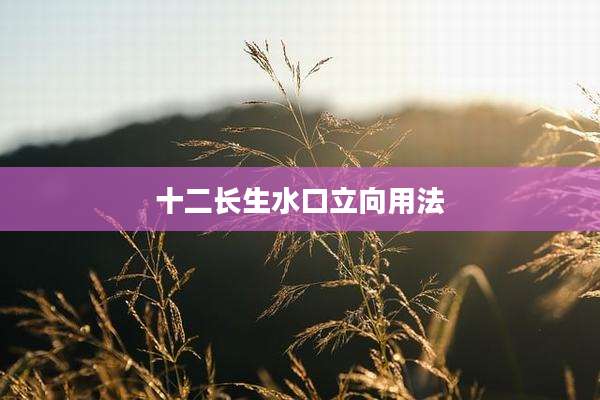 十二长生水口立向用法