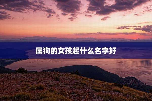 属狗的女孩起什么名字好
