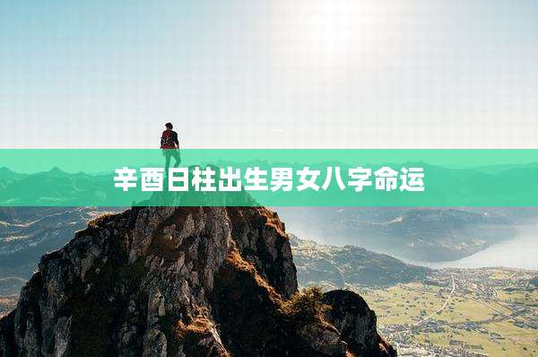 辛酉日柱出生男女八字命运