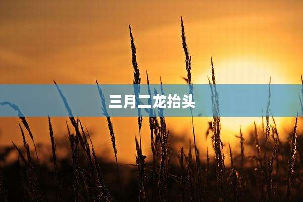 三月二龙抬头