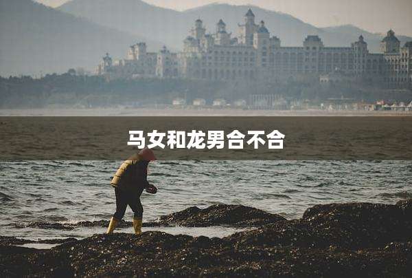马女和龙男合不合