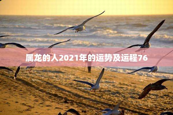 属龙的人2021年的运势及运程76