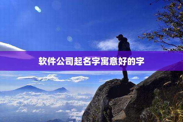 软件公司起名字寓意好的字