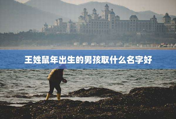王姓鼠年出生的男孩取什么名字好