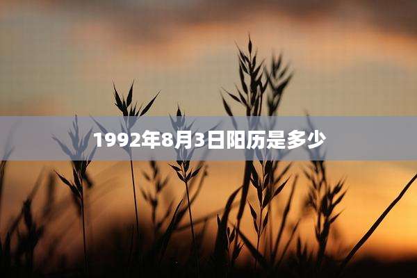 1992年8月3日阳历是多少